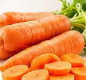 Carrot – product illustration