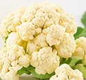 Cauliflower – product illustration
