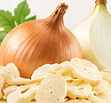 Onion – product illustration