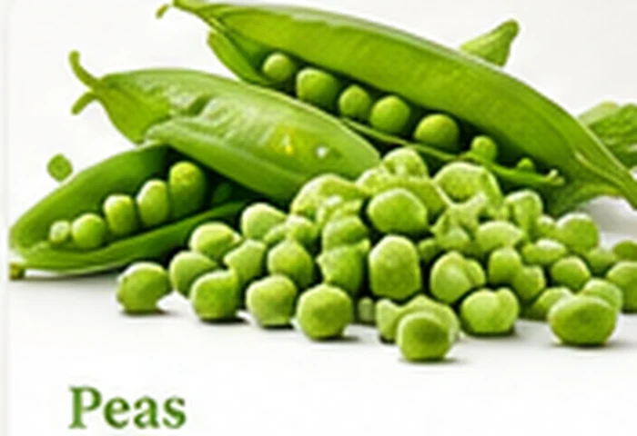 Peas – product illustration
